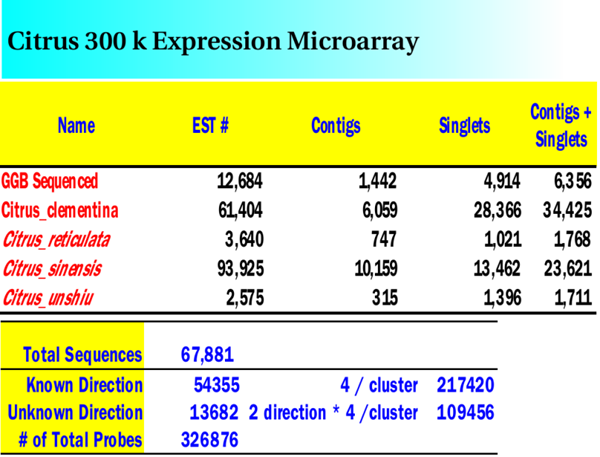 3 prime tiling microarray