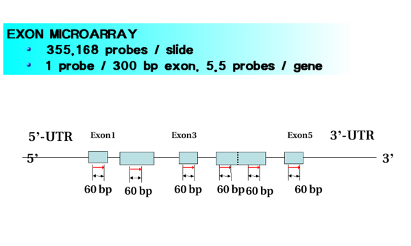 3 prime tiling microarray